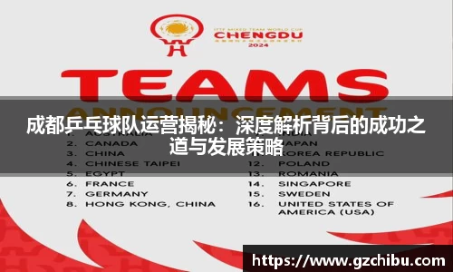 成都乒乓球队运营揭秘：深度解析背后的成功之道与发展策略