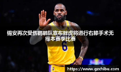 锡安再次受伤鹈鹕队宣布胖虎将进行右膝手术无缘本赛季比赛